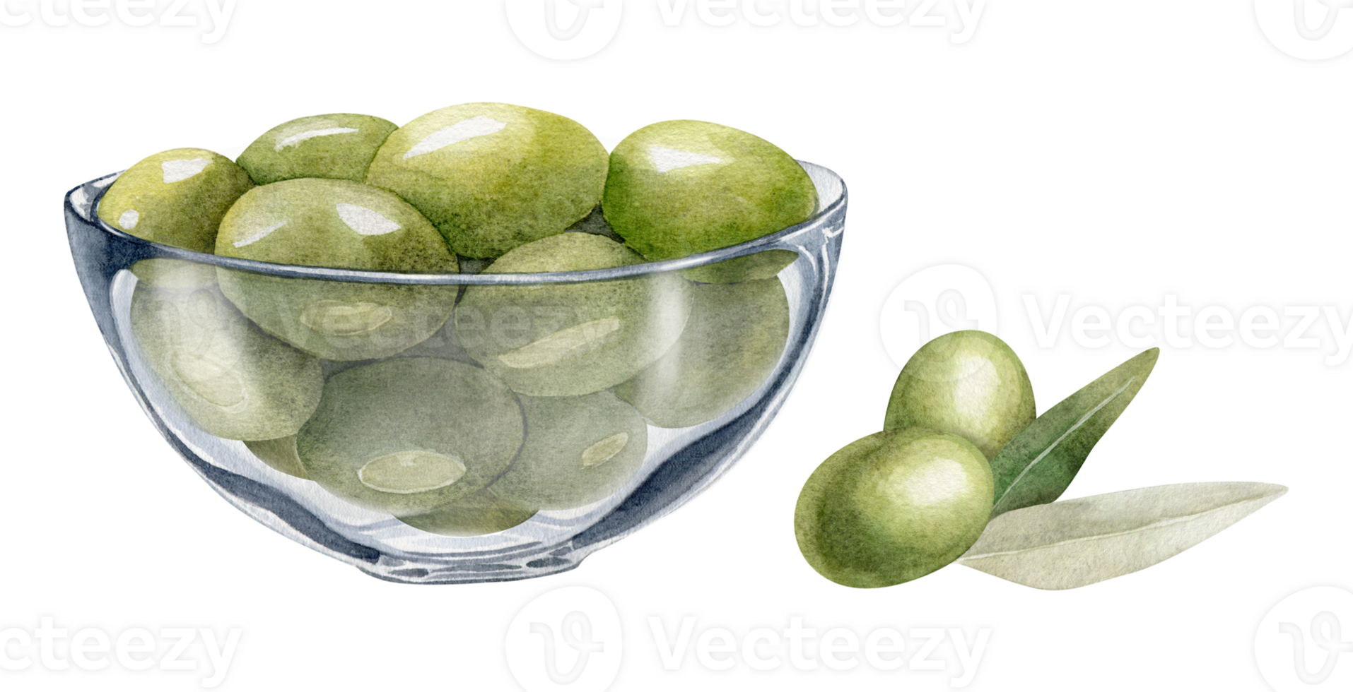 Glass bowl with green olives. Olive branches, leaves and fruits. A bowl of green olives. Vegetarian organic food. Watercolor hand drawn illustration. Isolated. For menu, packaging design png