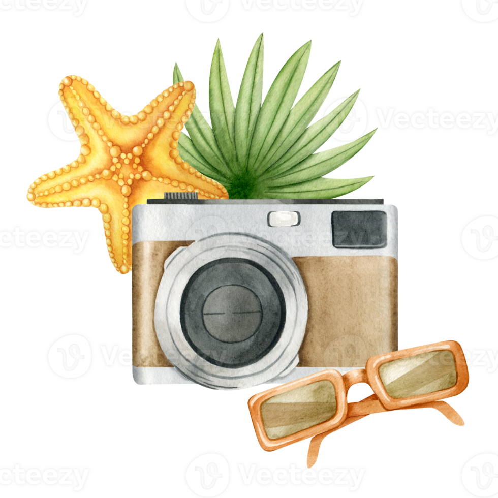 Brown vintage photo camera, orange starfish, sunglasses and palm leaf. Travel. Tourism. Summer vacation. Watercolor illustration. Isolated. For postcards, marketing, invitations, and scrapbooking. png