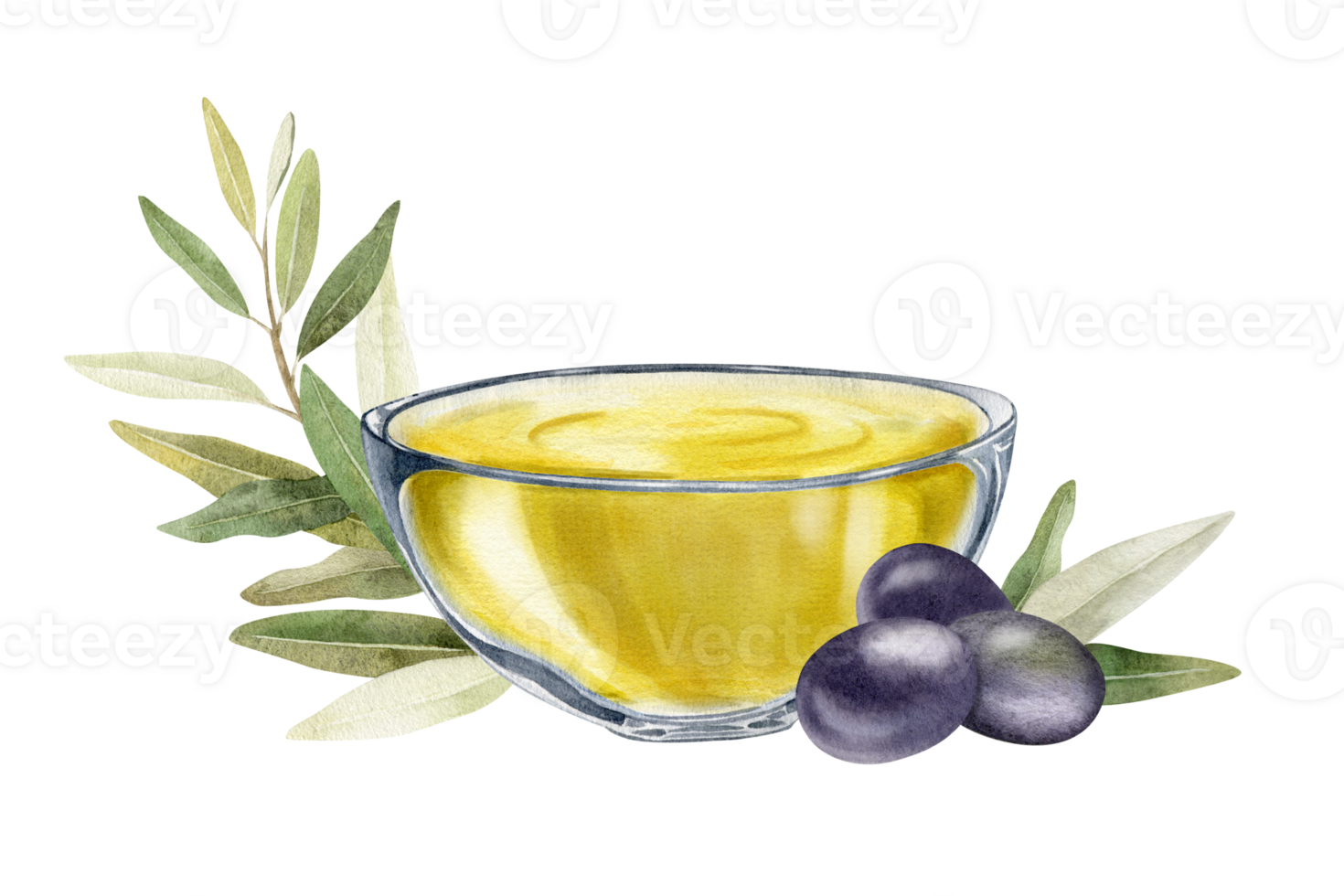 A bowl of olive oil. Olive tree branch, leaves and fruits.lives. A bowl of green olives. Vegetarian organic food. Watercolor hand drawn illustration. Isolated. For menu, packaging design png
