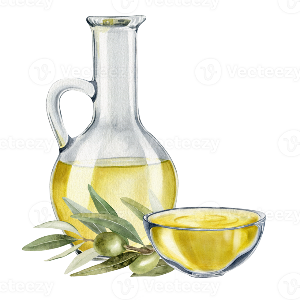 Bottle of olive oil, olive branches, leaves and fruits. Fresh organic extra virgin olive oil. Glass jug with oil. Watercolor hand drawn illustration. For menu, packaging design png