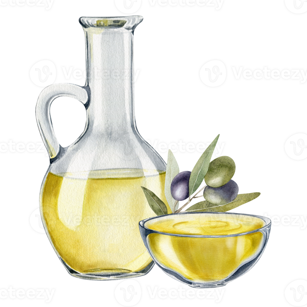 Bottle of olive oil, olive branches, leaves and fruits. Fresh organic extra virgin olive oil. Glass jug with oil. Watercolor hand drawn illustration. For menu, packaging design png