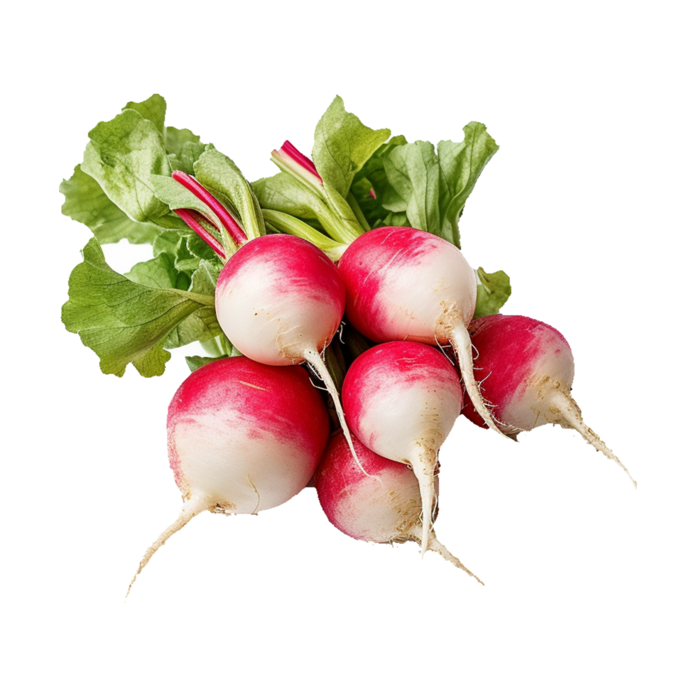 Radish Vegetable AI Generated png