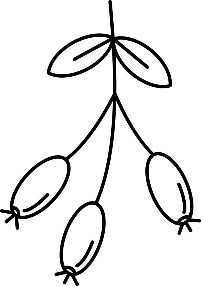 Rosehip Berry Icon In Black Line Art. vector