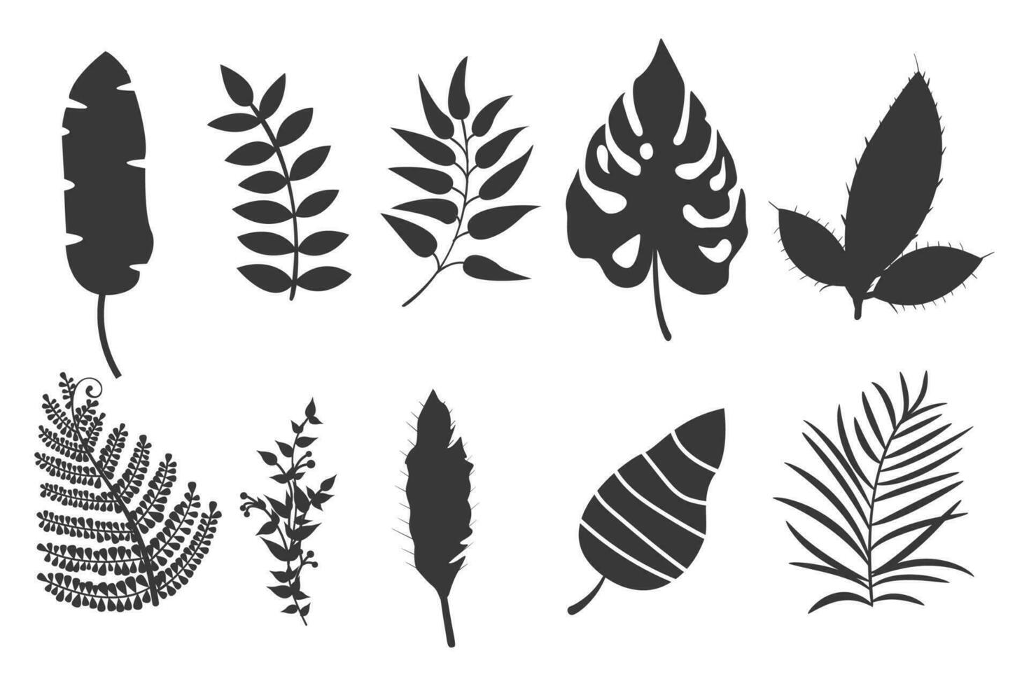 Set of silhouette Tropical leaves isolated on white background. vector