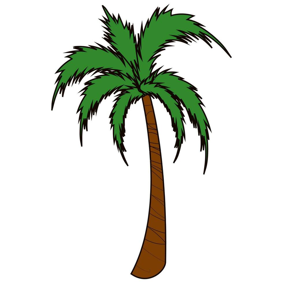Green And Brown Palm Or Coconut Tree On White Background. vector