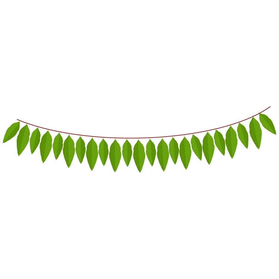 Green Mango Leaves Garland Or Bunting On White Background. vector