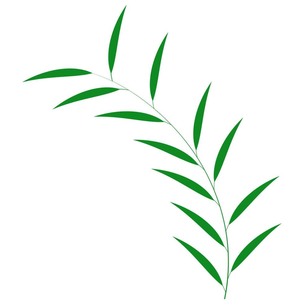 Green Leaf Element On White Background. vector