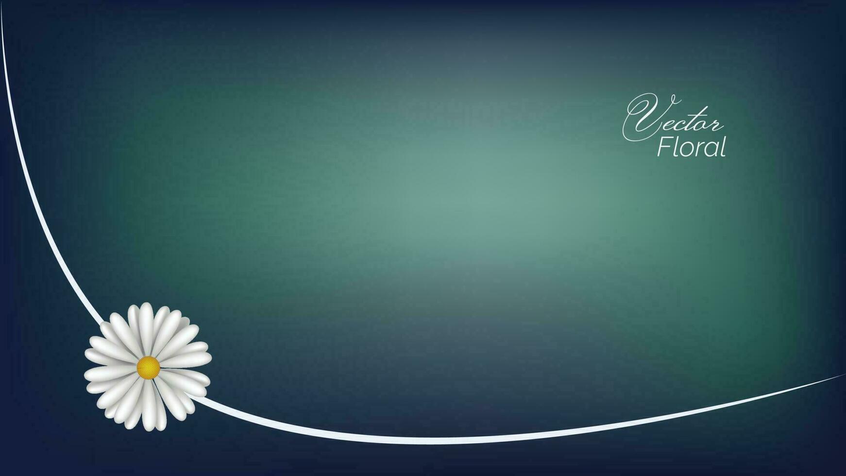 abstract floral vector bg white daisy flowers spring nature background