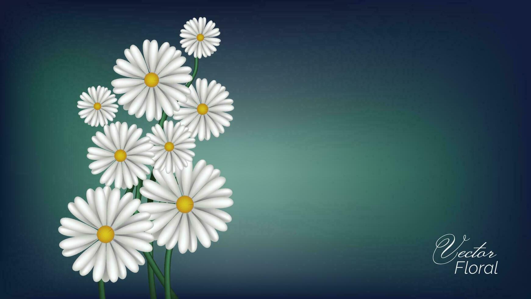 resumen floral vector bg blanco margarita flores primavera naturaleza antecedentes