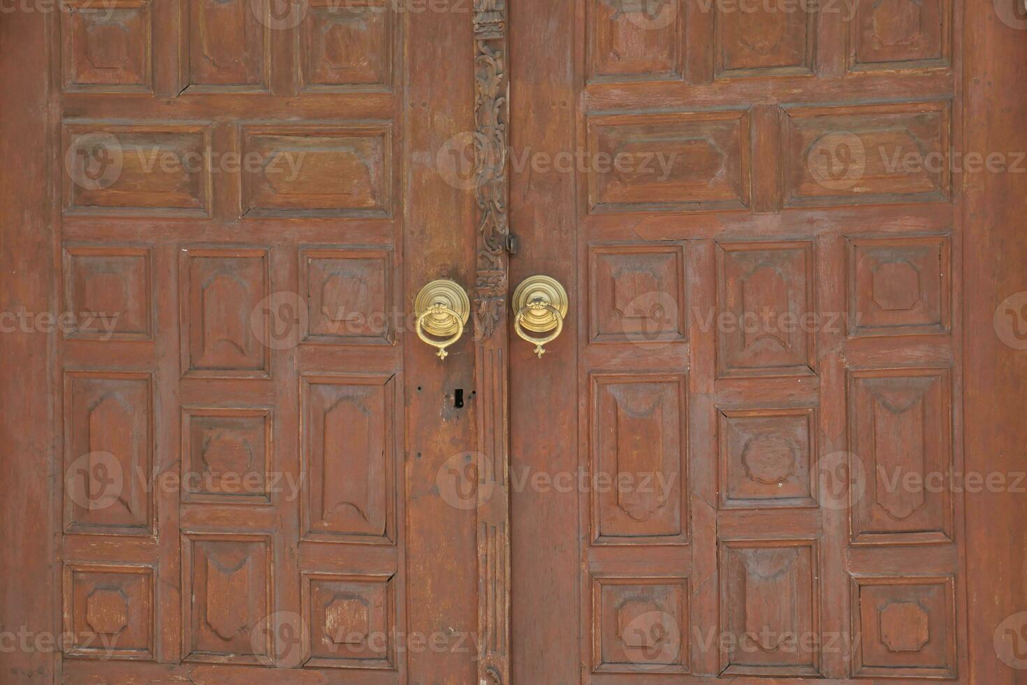 a brown wood old door in turkey photo