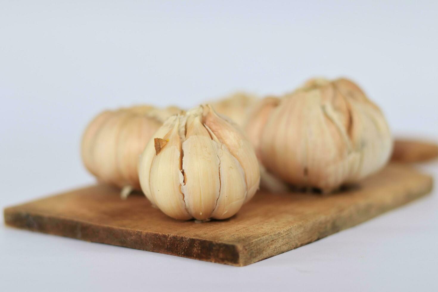 garlic on a white background photo