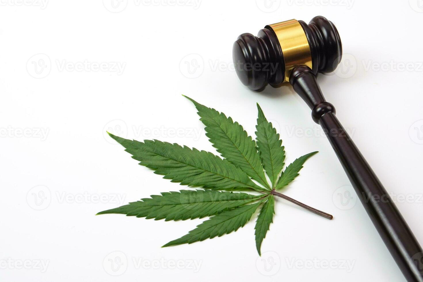 Cannabis leaf or marijuana leaf with judge hammer on white background. Law, judiciary concept. photo