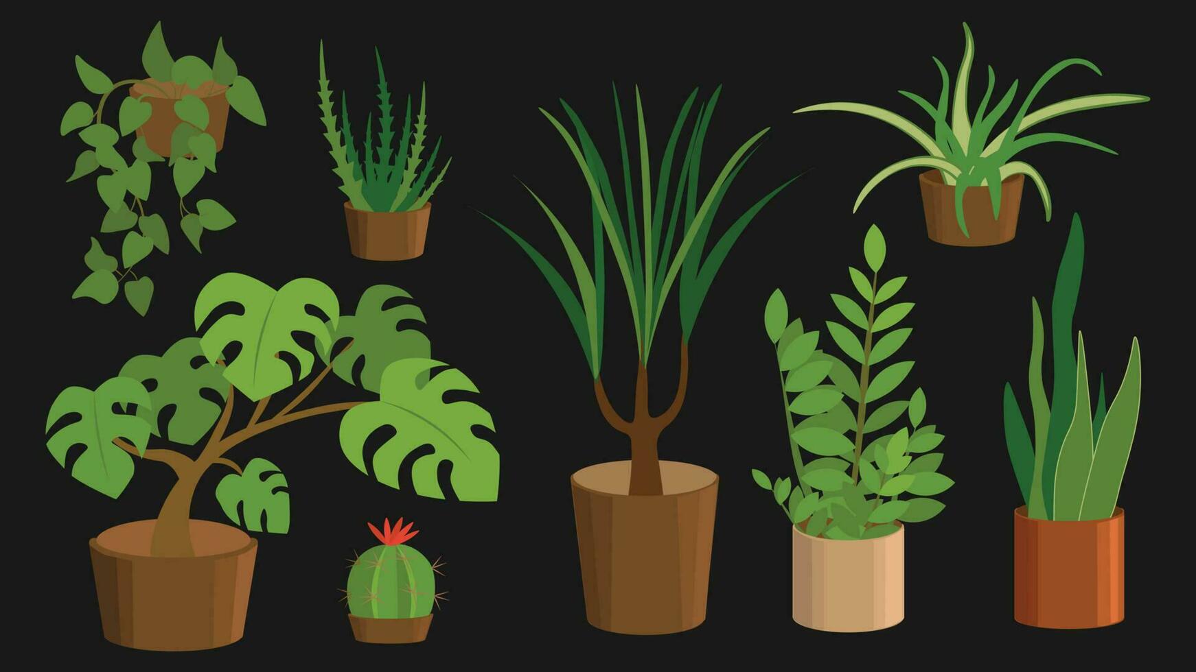 Vector illustration of various houseplants on black background.
