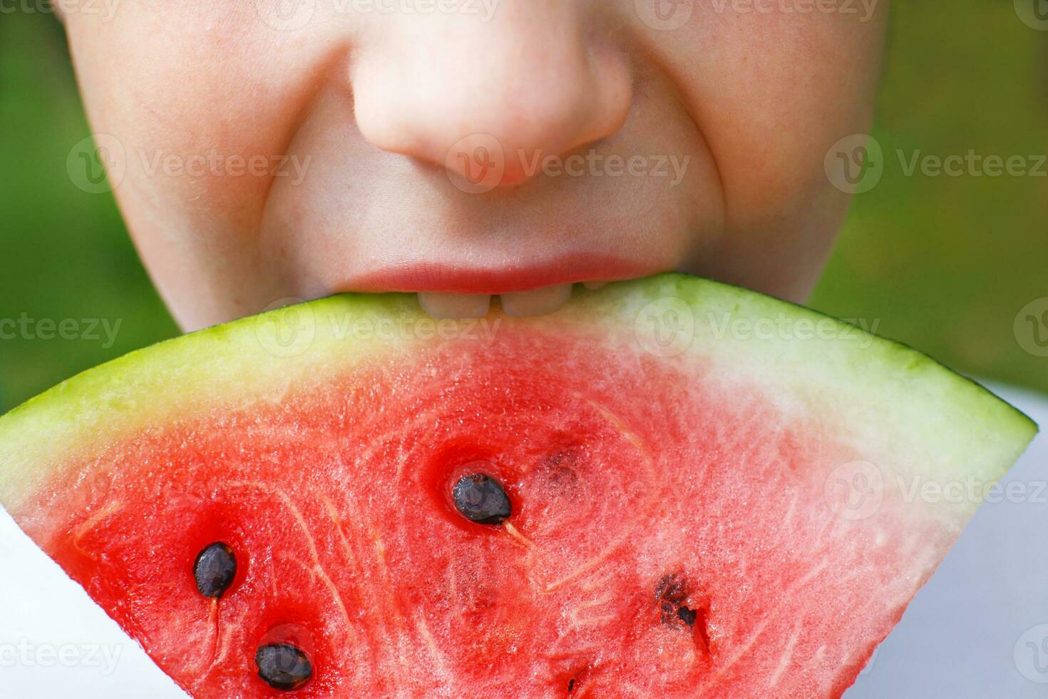 child boy eating a slice of watermelon close on a background of green grass photo