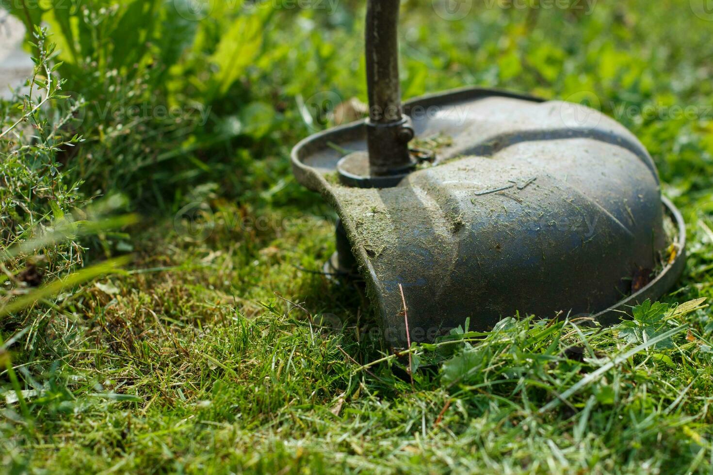 a man mows grass with a trimmer outdoor photo