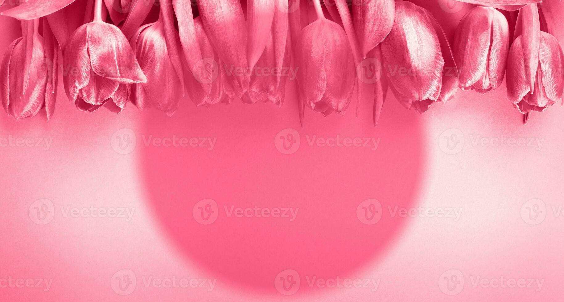 Pink fresh flowers tulips background with copy space. Romantic composition. Flat lay, top view. photo