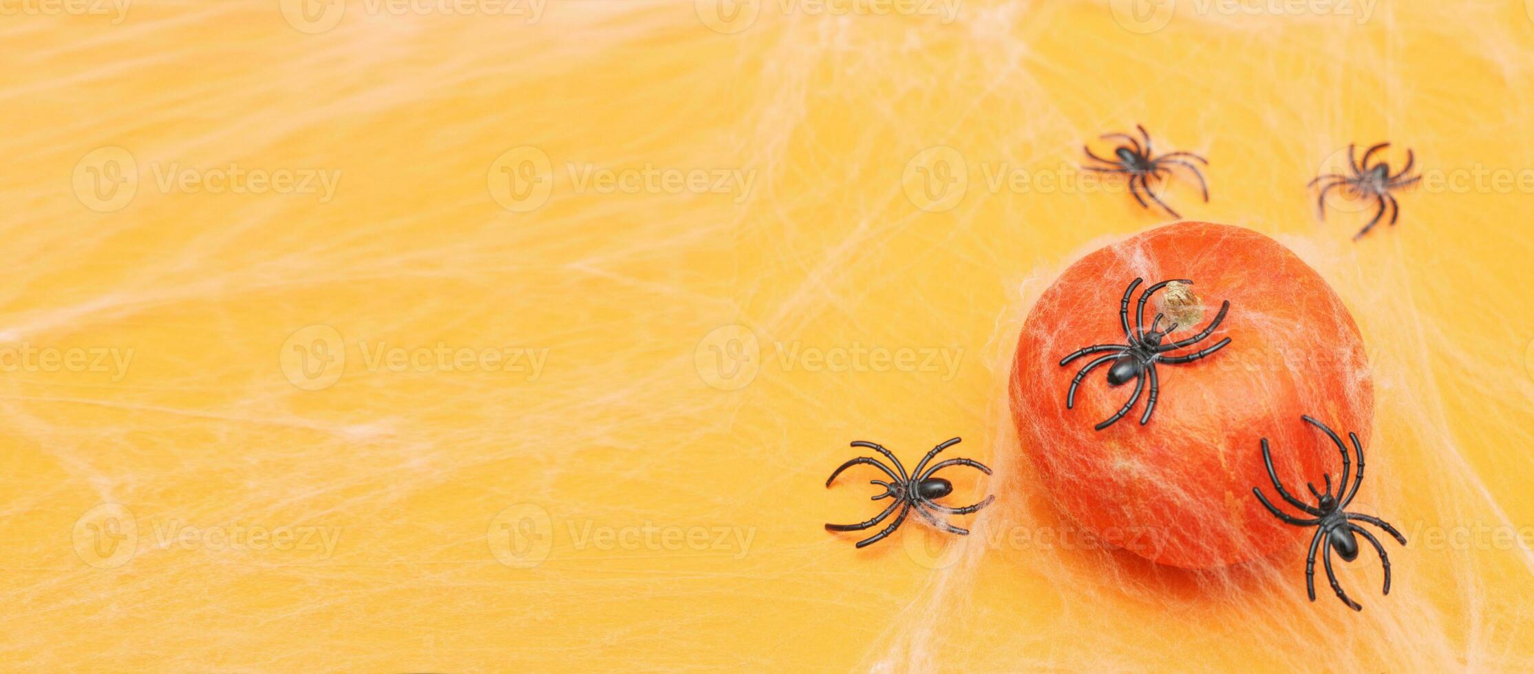 Halloween pumpkin with spider web and black spiders on orange background. banner photo