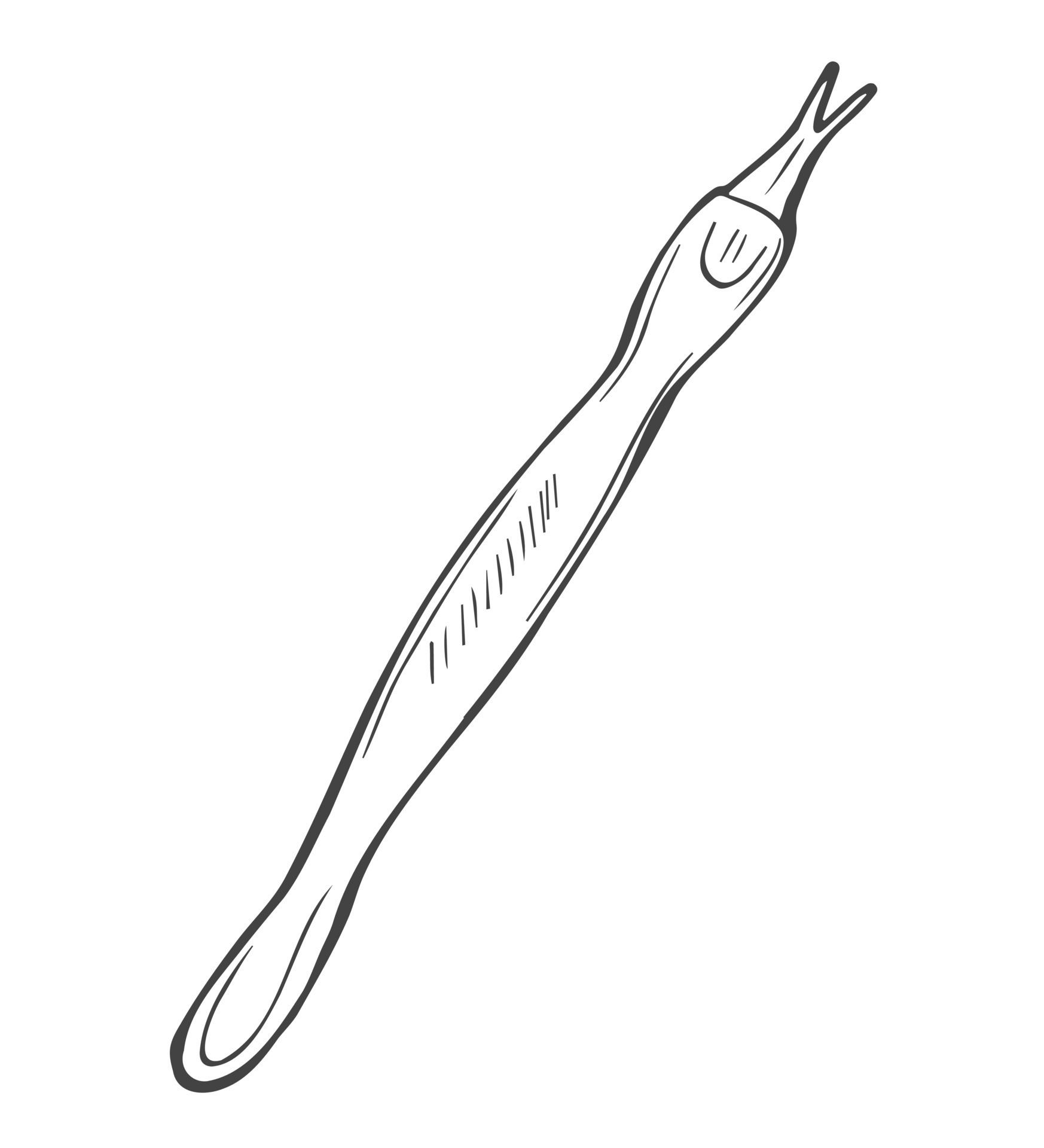 básico uña herramientas, doble terminó cutícula arribista, mano