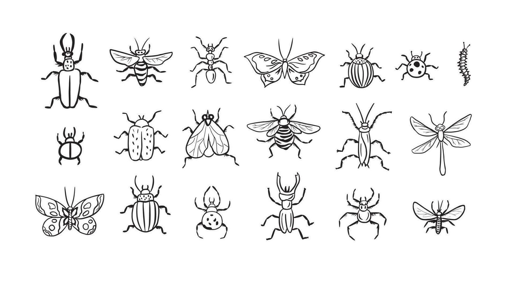 Set of insects drawn in vector.Big hand drawn line set of insects . insects vector illustration.