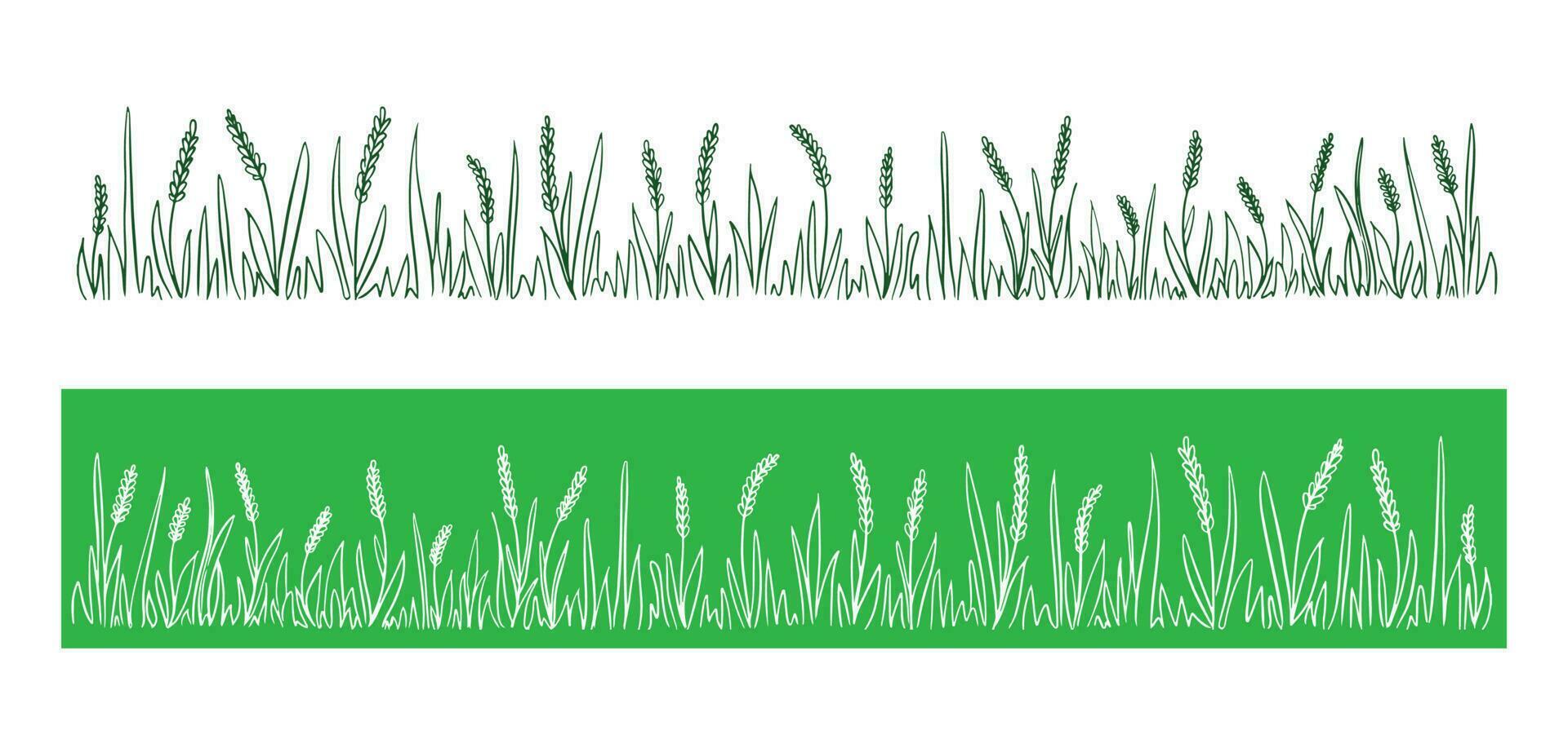 Wild ears of corn field on a green background.Grass in field.Vector illustration. vector
