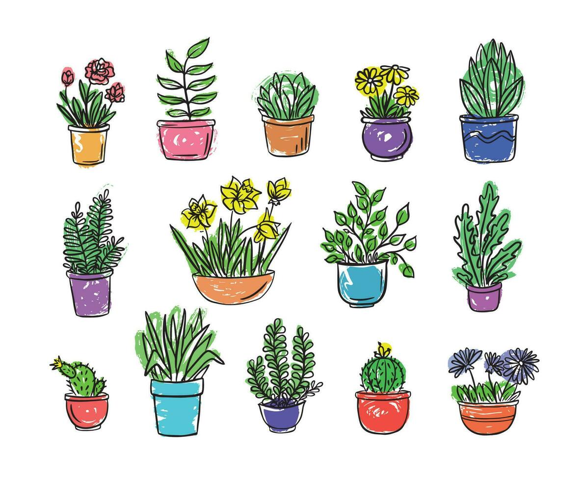 House plants and flowers in pots for the interior in color.Vector illustrator.Picture in doodle style. vector