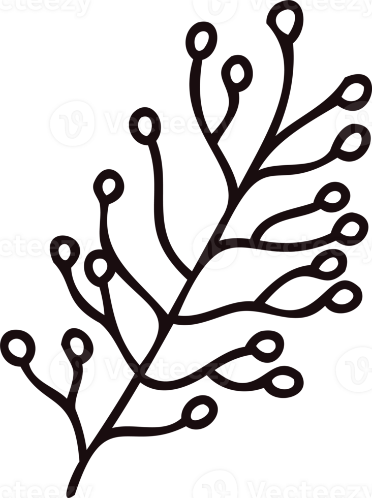 Hand Drawn leaves and twigs from the top view in doodle style png