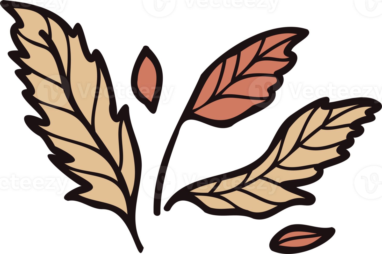 Hand Drawn leaves and twigs from the top view in doodle style png