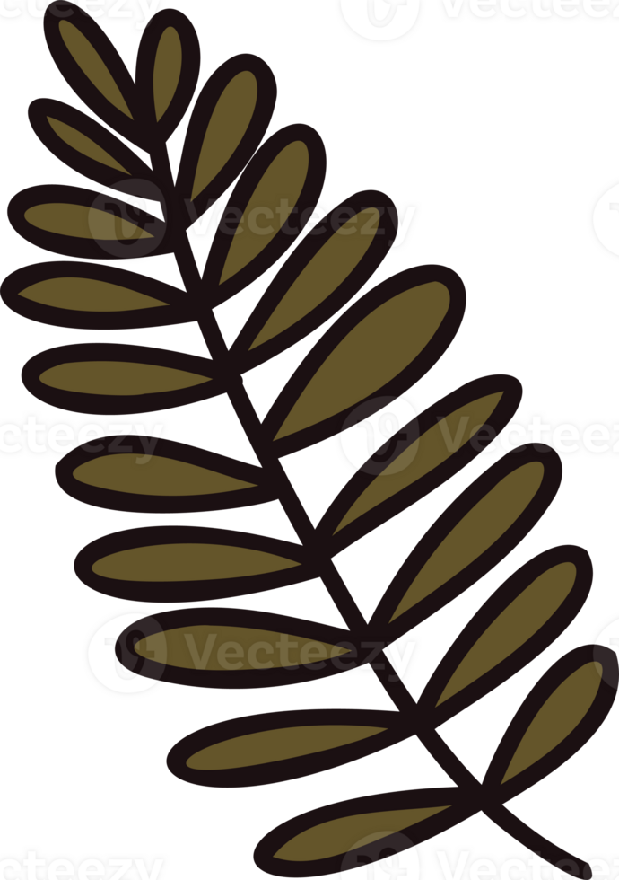 Hand Drawn palm leaves from the top view in doodle style png