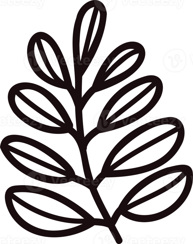 Hand Drawn leaves and twigs from the top view in doodle style png