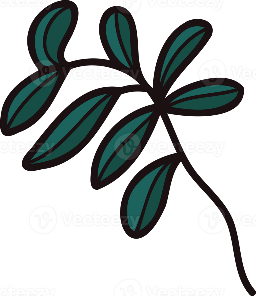 Hand Drawn leaves and twigs from the top view in doodle style png