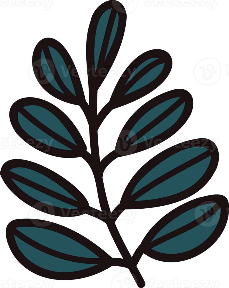 Hand Drawn leaves and twigs from the top view in doodle style png