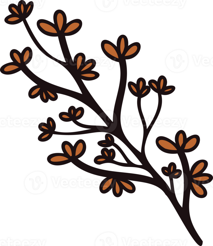 Hand Drawn leaves and twigs from the top view in doodle style png