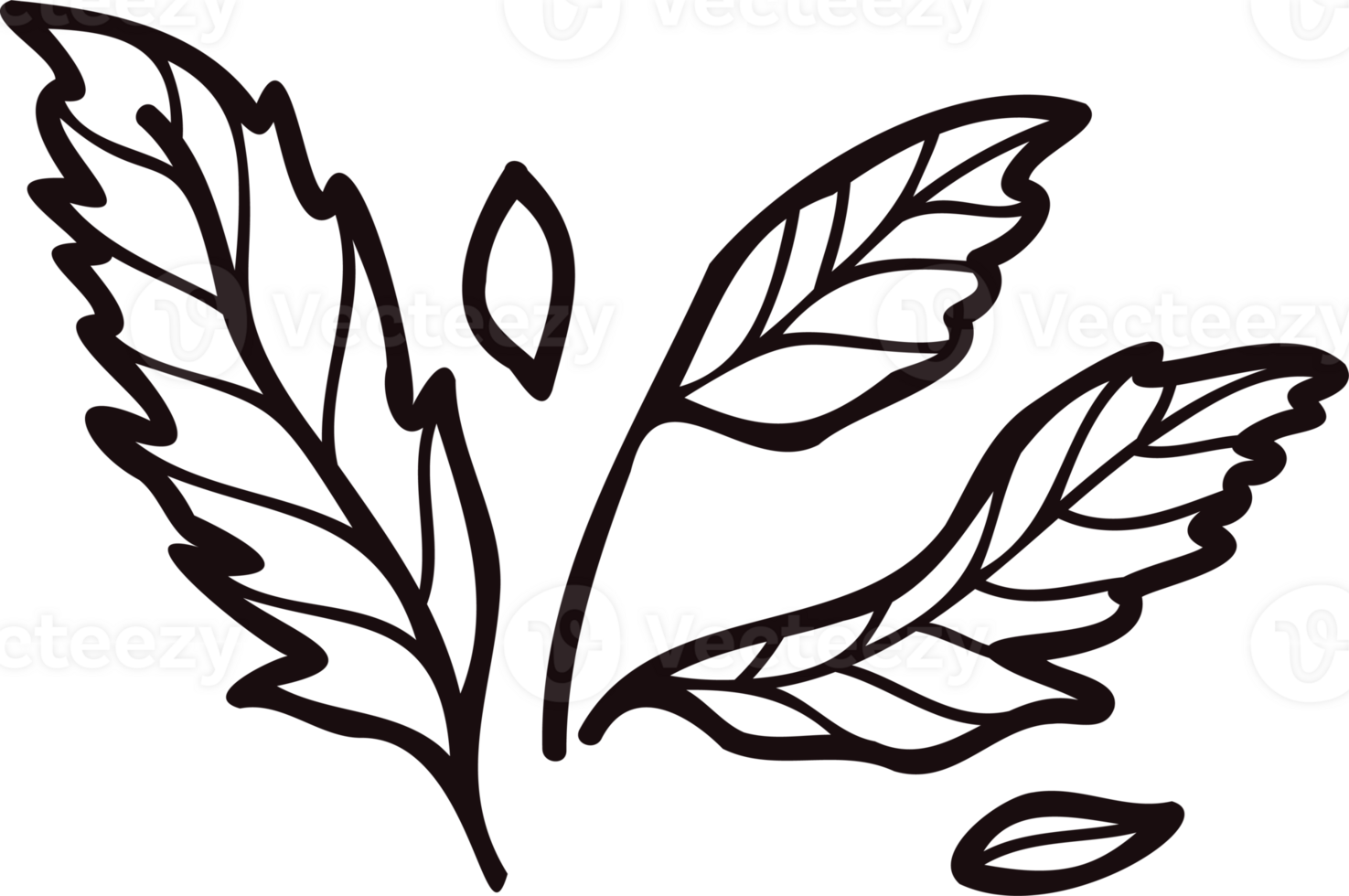 Hand Drawn leaves and twigs from the top view in doodle style png