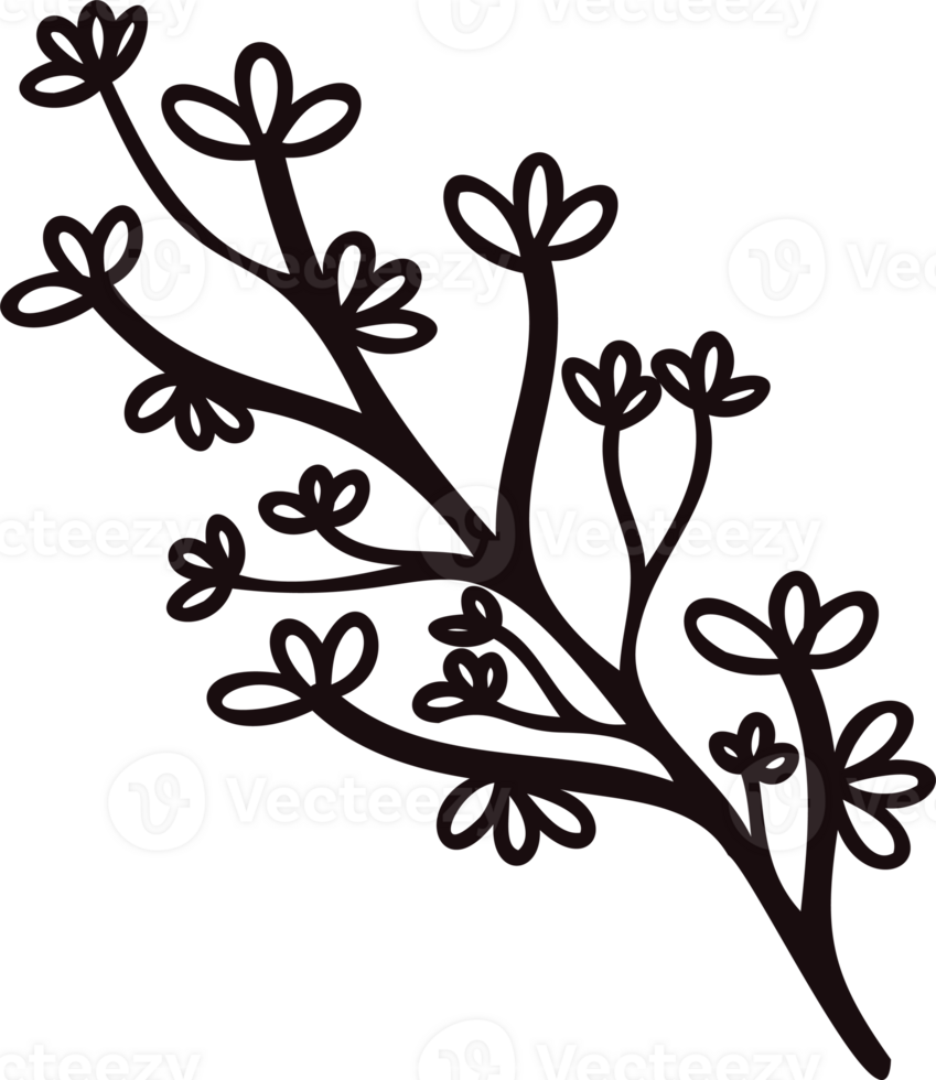 Hand Drawn leaves and twigs from the top view in doodle style png