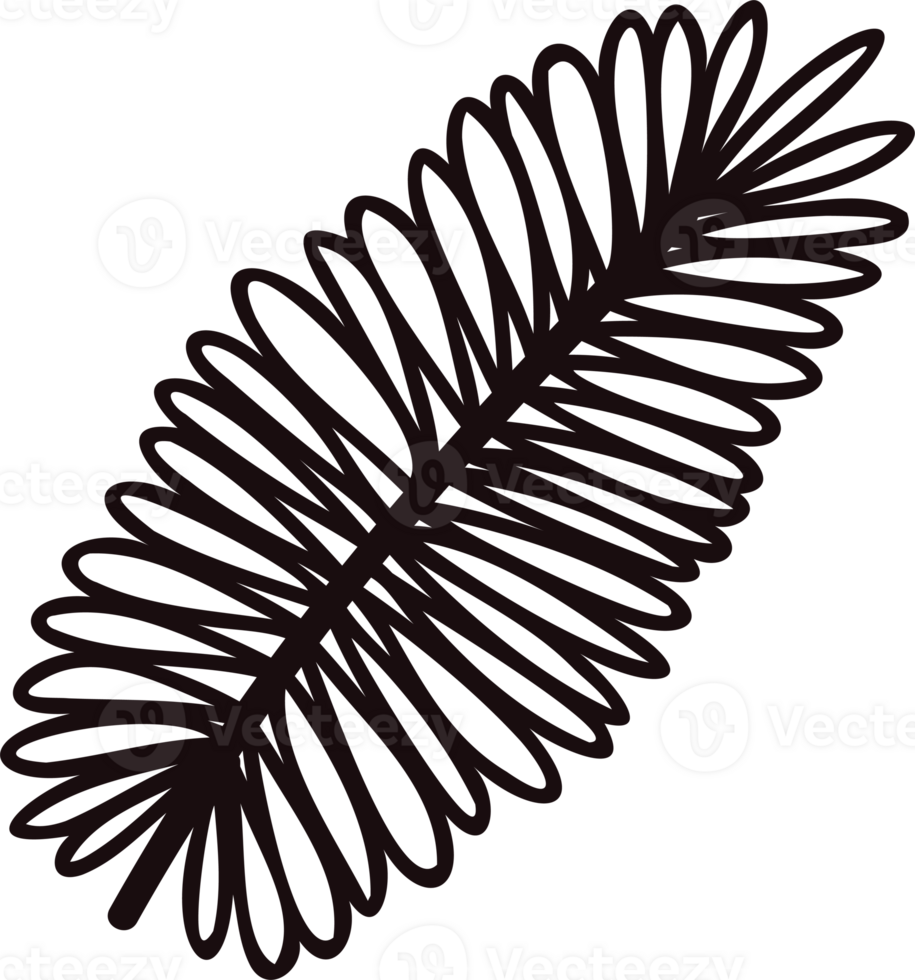 Hand Drawn palm leaves from the top view in doodle style png
