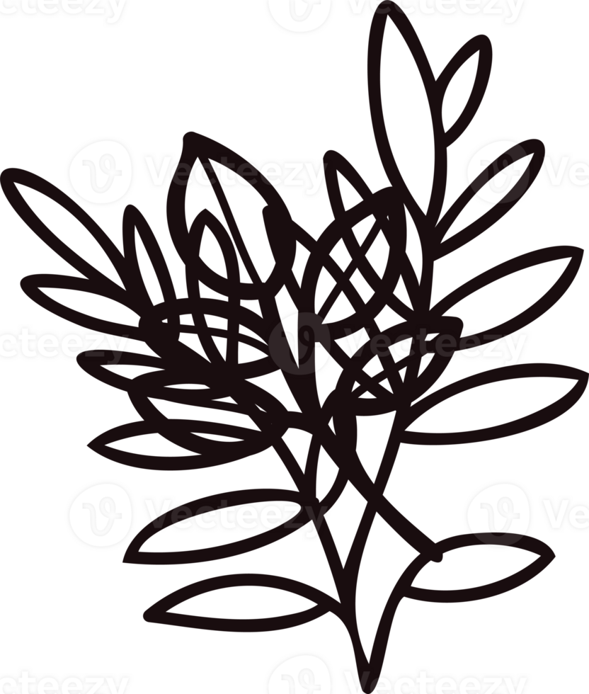 Hand Drawn leaves and twigs from the top view in doodle style png