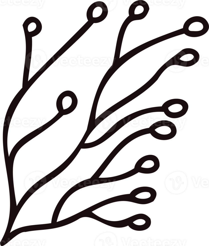 Hand Drawn leaves and twigs from the top view in doodle style png