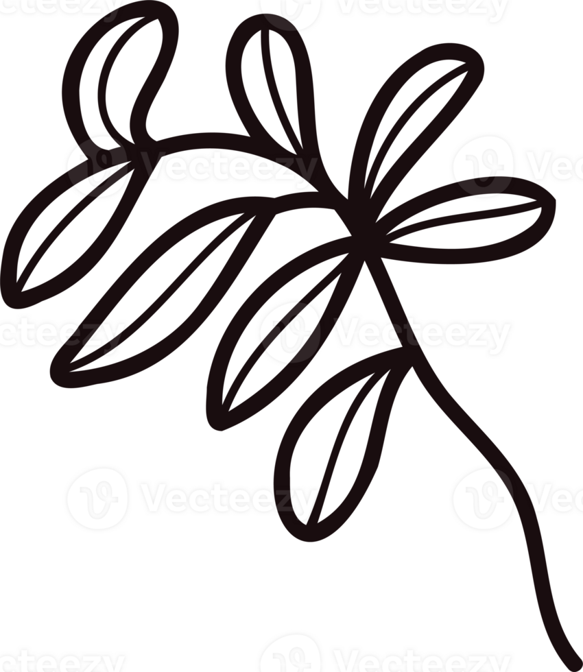 Hand Drawn leaves and twigs from the top view in doodle style png