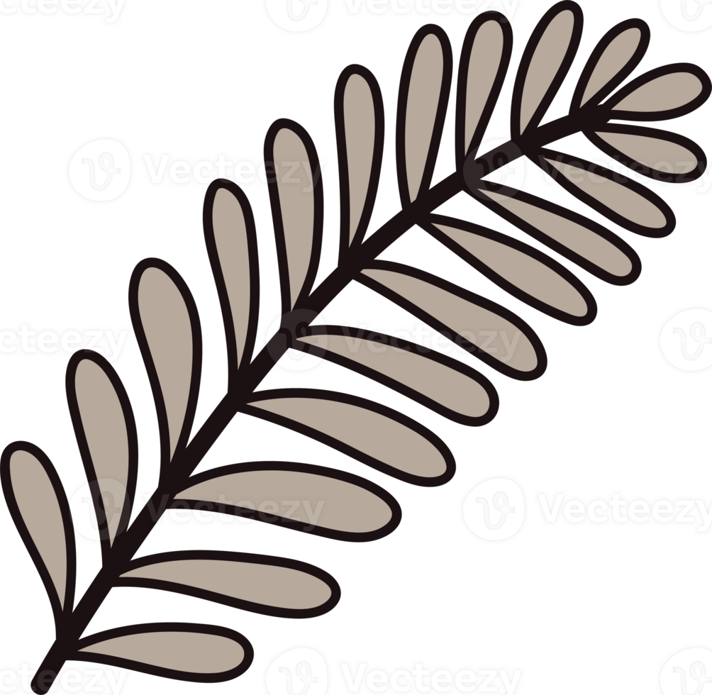 Hand Drawn palm leaves from the top view in doodle style png