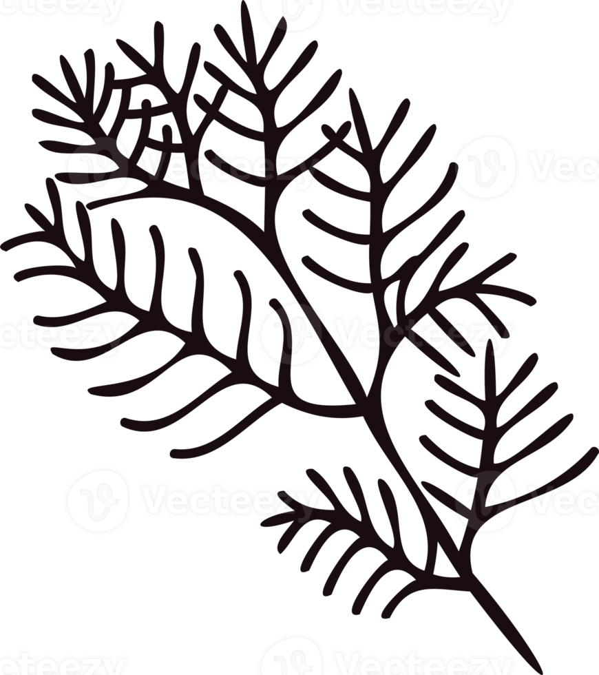 Hand Drawn leaves and twigs from the top view in doodle style png