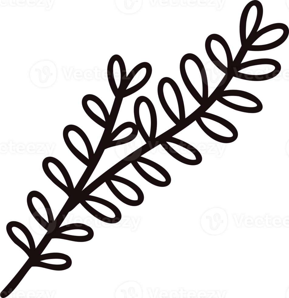 Hand Drawn leaves and twigs from the top view in doodle style png