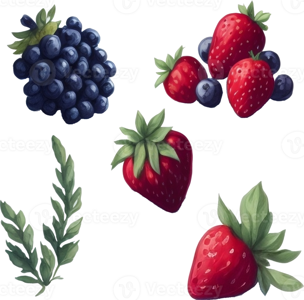 Watercolor berries transparent background, isolated png