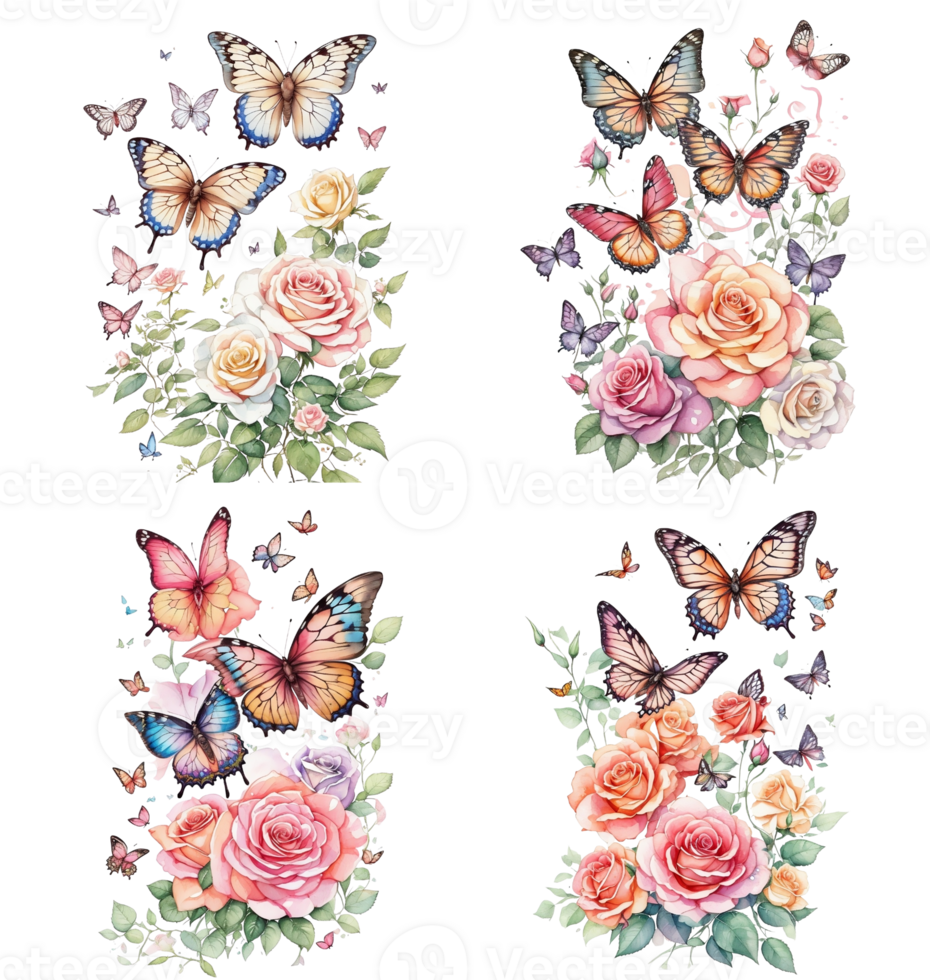 Rose Flower and Butterfly png