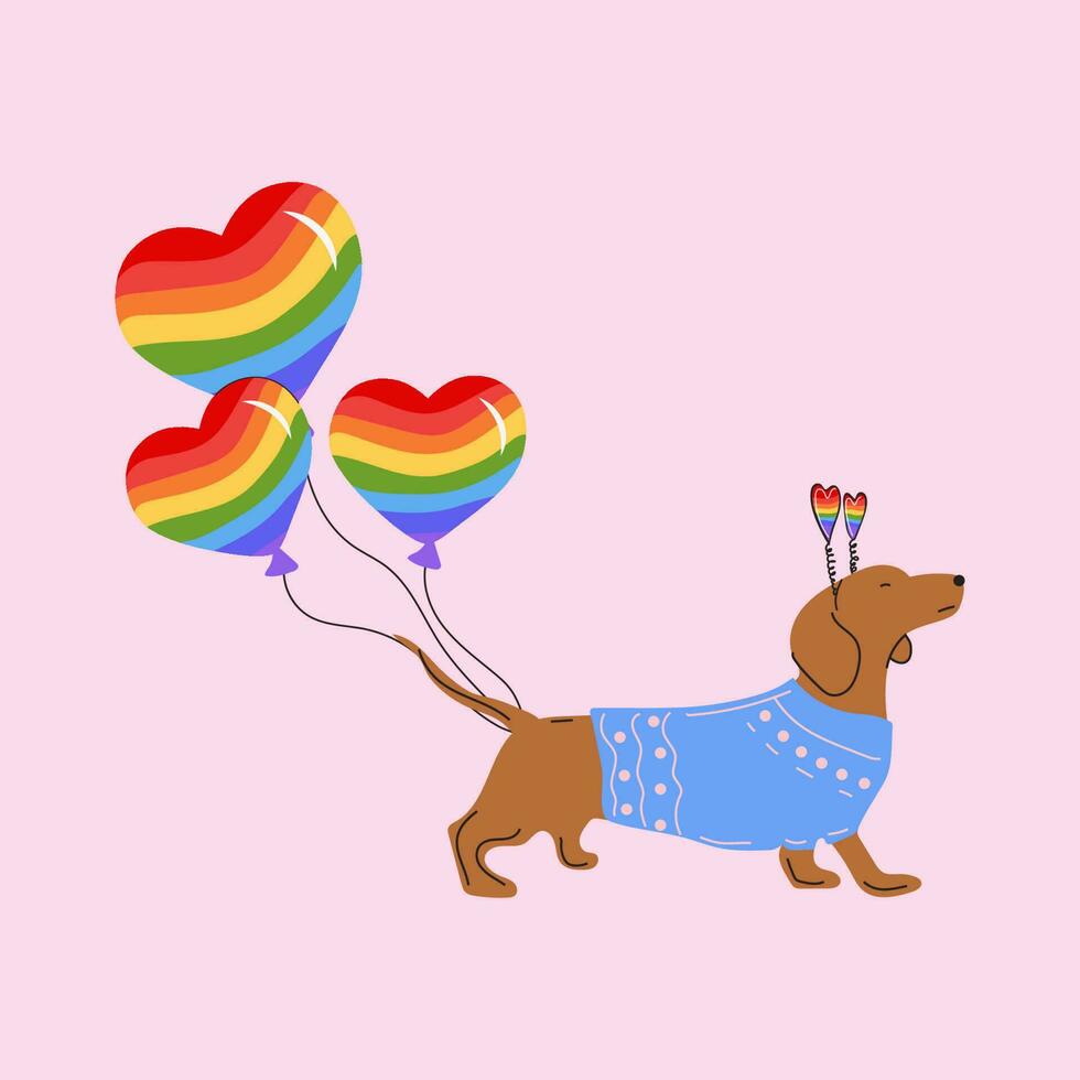 Dachshund dog pulls a rainbow balloons in the shape of a heart. Vector illustration isolated