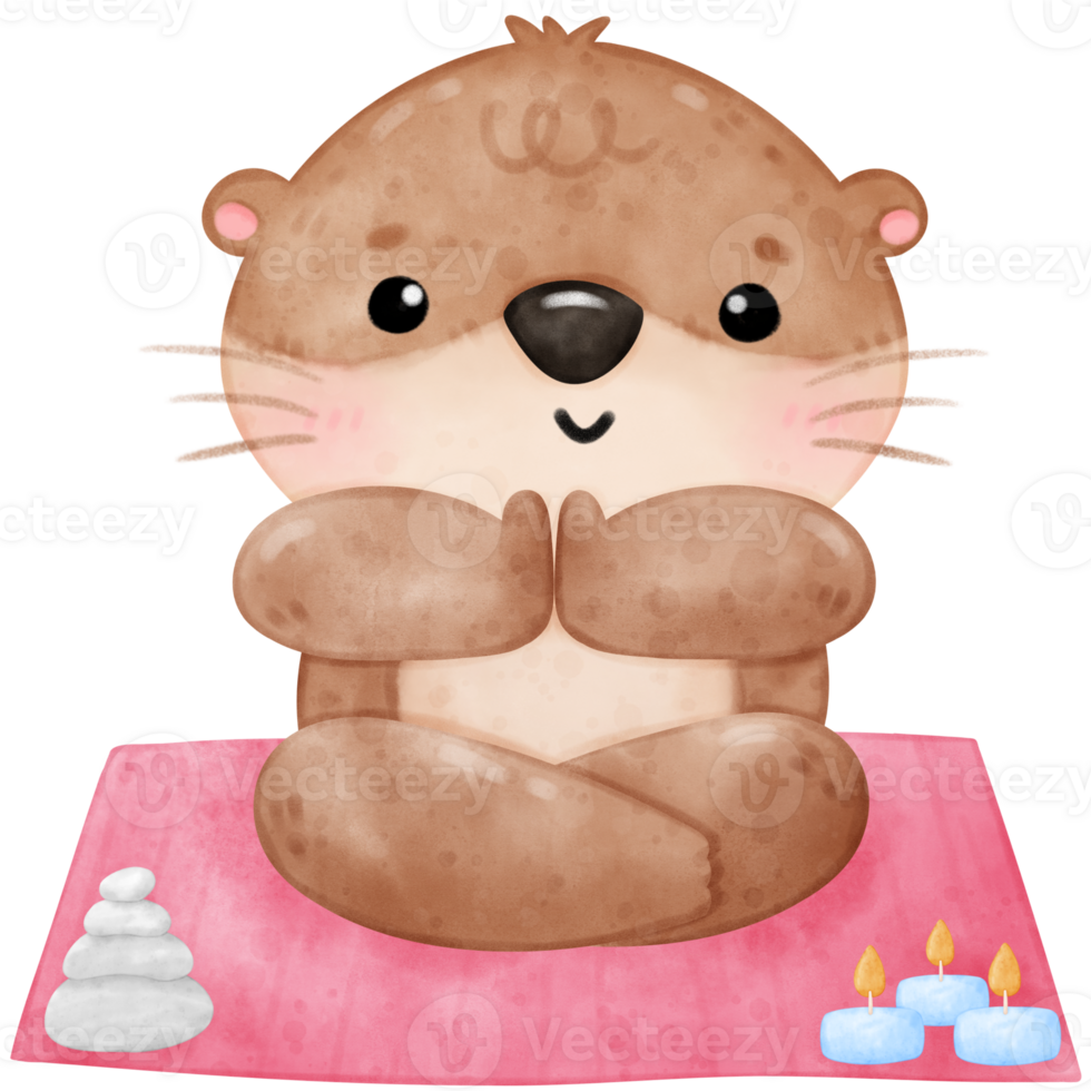 Cute otter yoga, yoga, yoga otter, yoga bear, yoga pose png