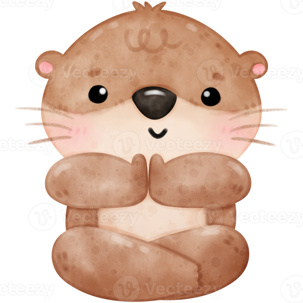 mignonne loutre yoga, yoga, yoga loutre, yoga ours, yoga pose png