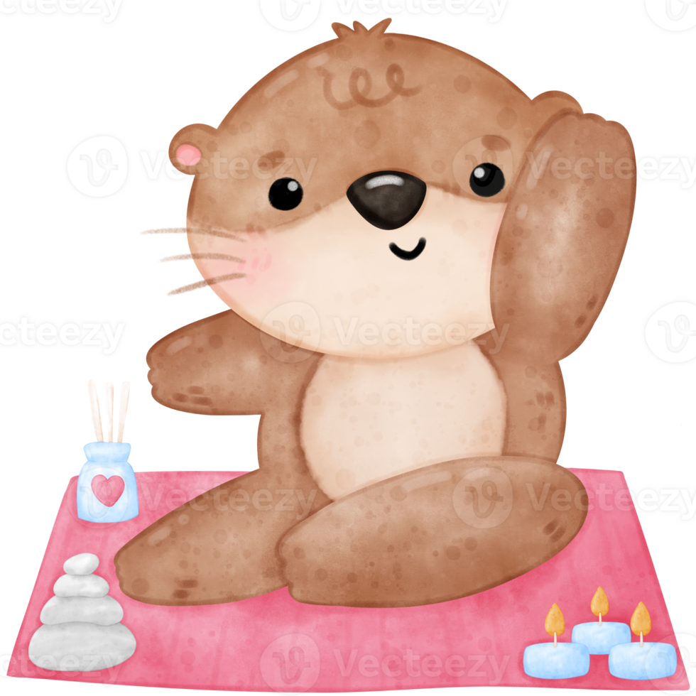 mignonne loutre yoga, yoga, yoga loutre, yoga ours, yoga pose png