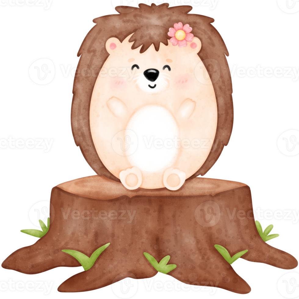 Cute Hedgehog Baby Hedgehog 24208412 Png Cute Hedgehog Baby Hedgehog 24208412 Png
