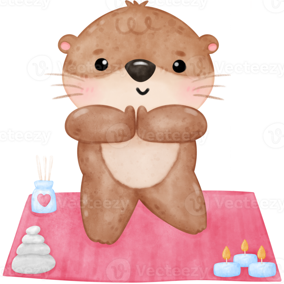 Cute otter yoga, yoga, yoga otter, yoga bear, yoga pose png
