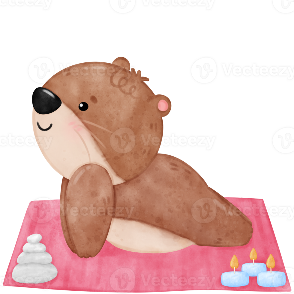 Cute otter yoga, yoga, yoga otter, yoga bear, yoga pose png